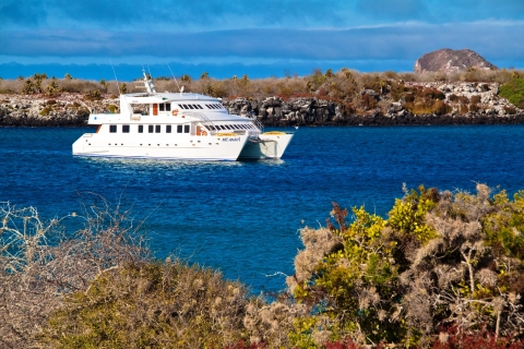 Anahi Catamaran