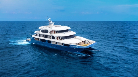 Cormorant II Catamaran
