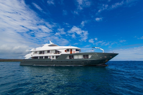 Infinity Motor Yacht