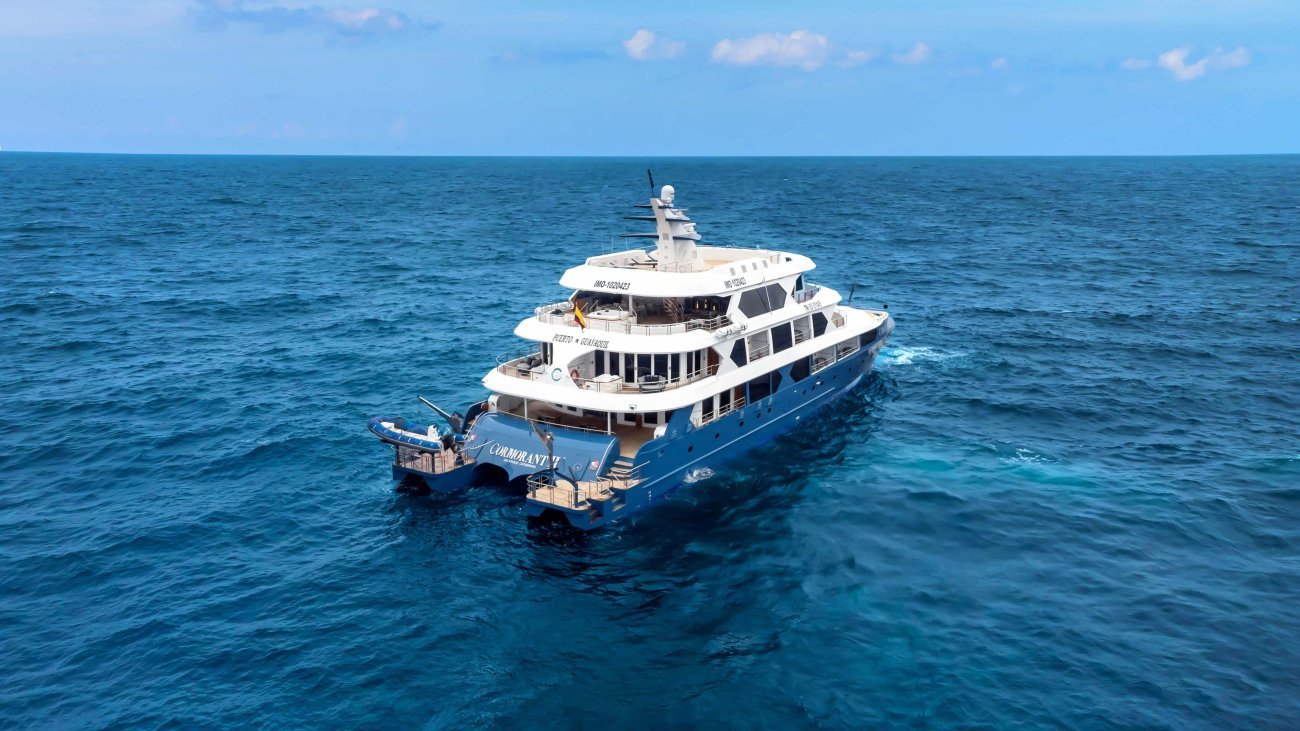 Cormorant II Catamaran