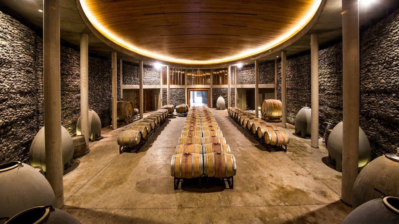 Santiago, Wine Country and Patagonia