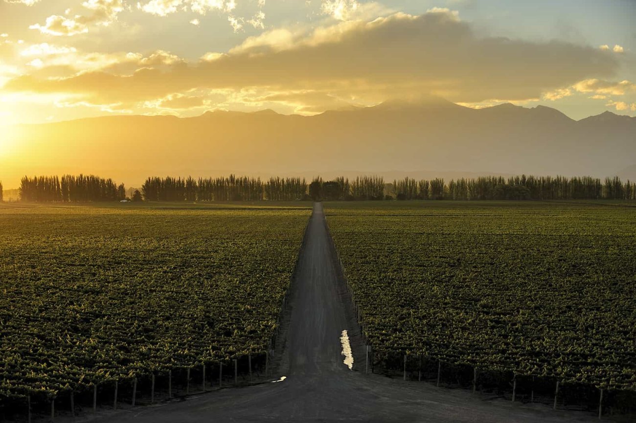 Buenos Aires, Iguazu Falls and Wine Country